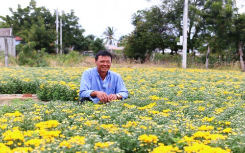 Ninh Thuận: Hoa cúc, nha đam, táo hồng rủ nhau tăng giá, nhà nông lãi lớn